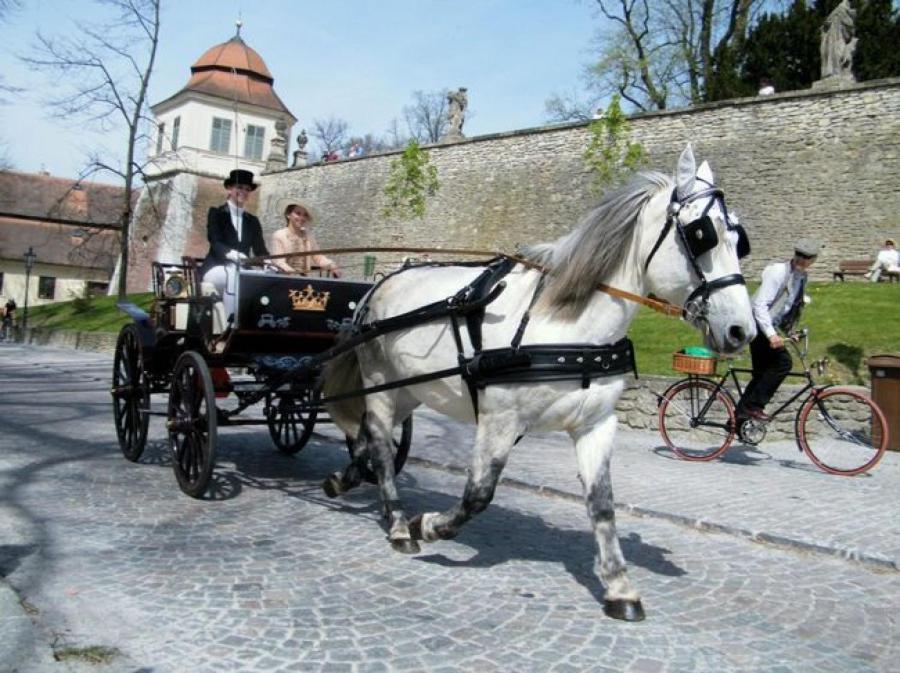 Penzion V Podzamci Litomysl Exterior photo